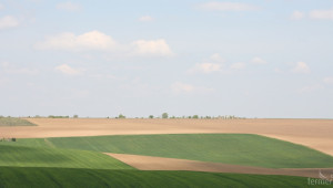 Фермери от Добричко в битка за 60 000 декара общинска земя