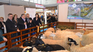 Френска асоциация ще представи нови породи овце на изложението в Сливен  2016 - Agri.bg