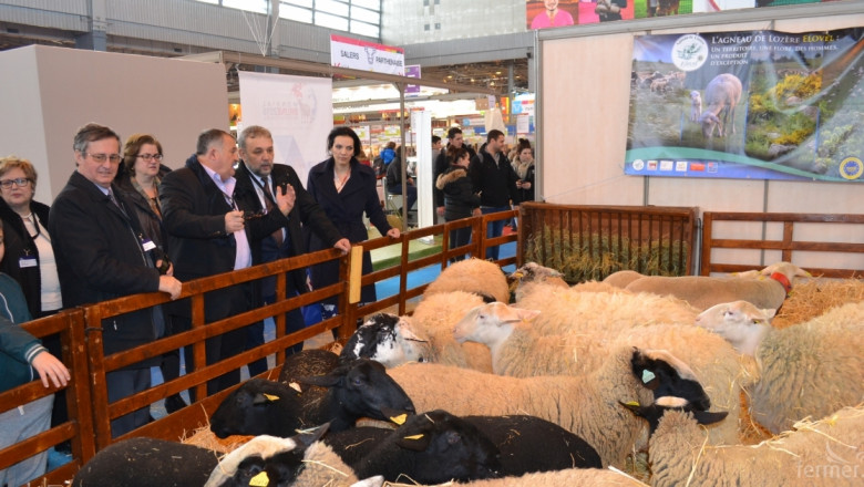 Френска асоциация ще представи нови породи овце на изложението в Сливен  2016