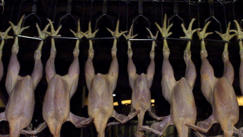 ОДБХ Варна затвори нелегална транжорна за пилешко месо
