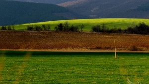 Леко увеличение на обработваемата земя в България за 2015 г., отчита МЗХ - Agri.bg