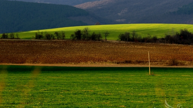 Леко увеличение на обработваемата земя в България за 2015 г., отчита МЗХ