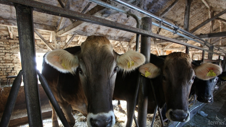 Областната комисия по животновъдство в Бургас се събира на 5 февруари