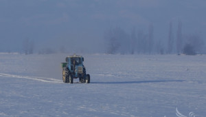 Компенсират с 6 млн. лева земеделските стопани за пропаднали площи - Agri.bg