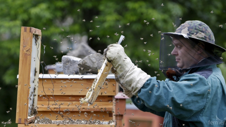 Пчелните семейства у нас са се увеличили с близо 30% за година