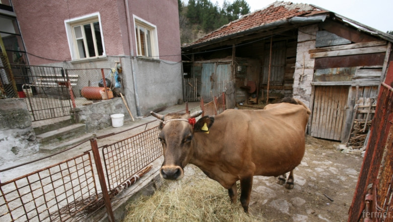 Ограничават отглеждането на селскостопански животни във Враца