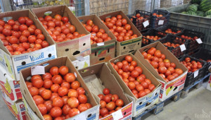През 2015 г. сме внесли 30% повече картофи, домати и пипер - Agri.bg