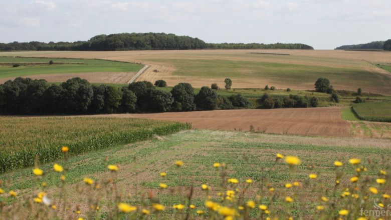 Три четвърти от проектите по агроекология в ЕС не са разходно ефективни