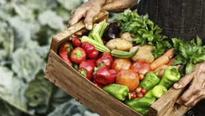 Движението Slow food помага на малки стопанства и фермери - Agri.bg