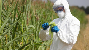 Скандално: Само един инспектор прави проверки за ГМО в България! - Agri.bg
