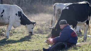 Говедовъди предлагат 15 стъпки за справяне с кризата в сектор мляко - Agri.bg