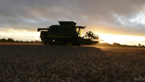 Експерти прогнозират силна зърнена реколта в Европа през 2016 - Agri.bg