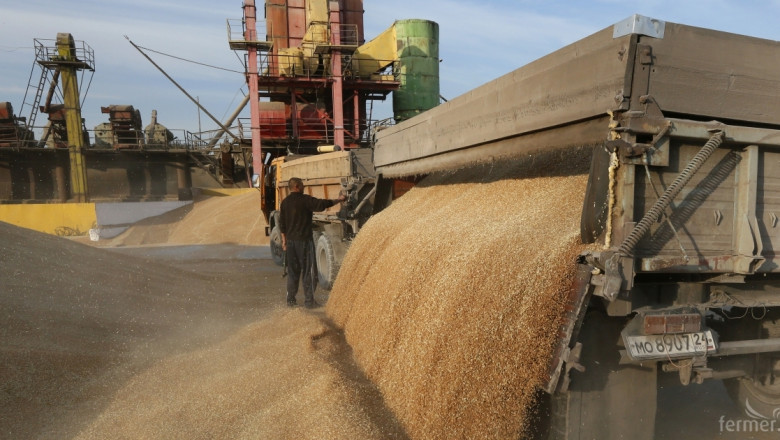 10 тона царевица се разсипаха на пътя след катастрофа между ТИР-ове