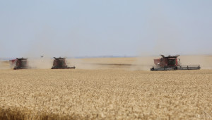 Bloomberg: Цените на черноморската пшеница падат - Agri.bg