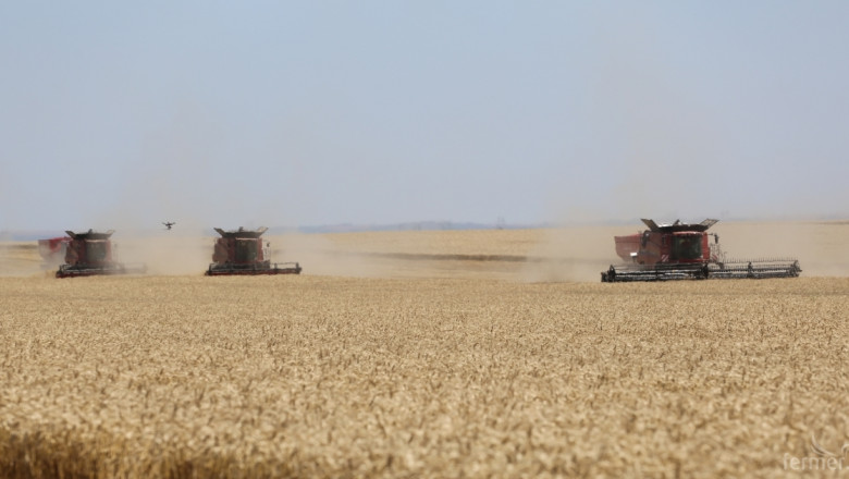 Bloomberg: Цените на черноморската пшеница падат