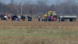 Земеделци поискаха еднодневните трудови договори да отпаднат - Agri.bg