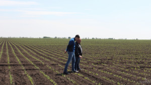 До 30 декември земеделците решават как да се облагат доходите им  - Agri.bg