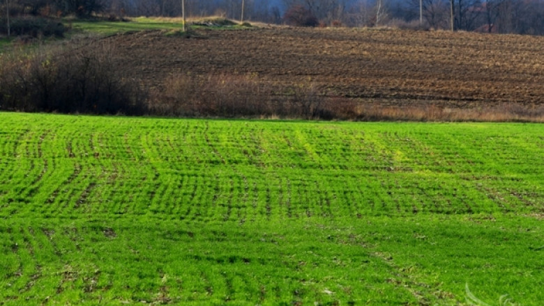 ОД Земеделие - Пловдив стартира контролни теренни проверки (СПИСЪК)