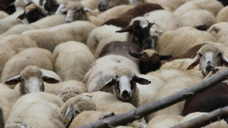 Асоциацията на млечните овце кани фермери на среща-дискусия
