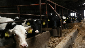 Съветът по животновъдство в Сливен ще заседава днес - Agri.bg