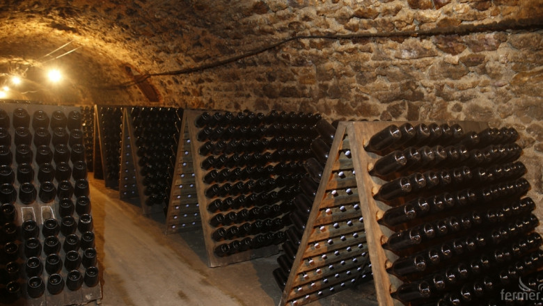 България има голям потенциал за износ на вино в САЩ 