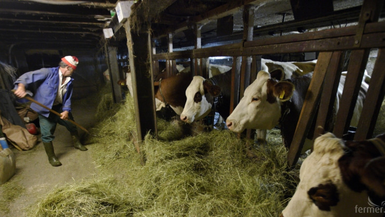 Активни огнища на туберкулоза по кравите има в 8 села на област Разград