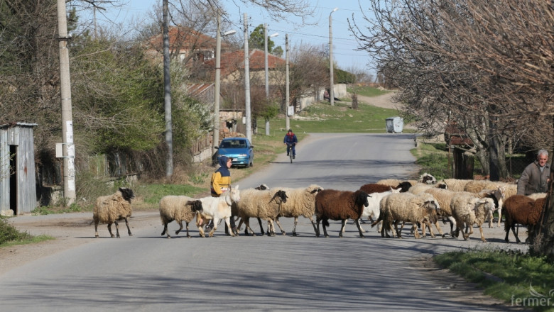 Съветът по животновъдство в Габрово ще заседава на 26 ноември