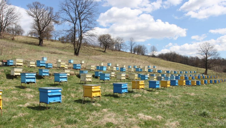 Неизвестни откраднаха 250 пити от пчелни кошери 