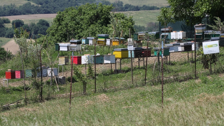 Над 2000 пчелари кандидатстват за подпомагане по Пчеларската програма