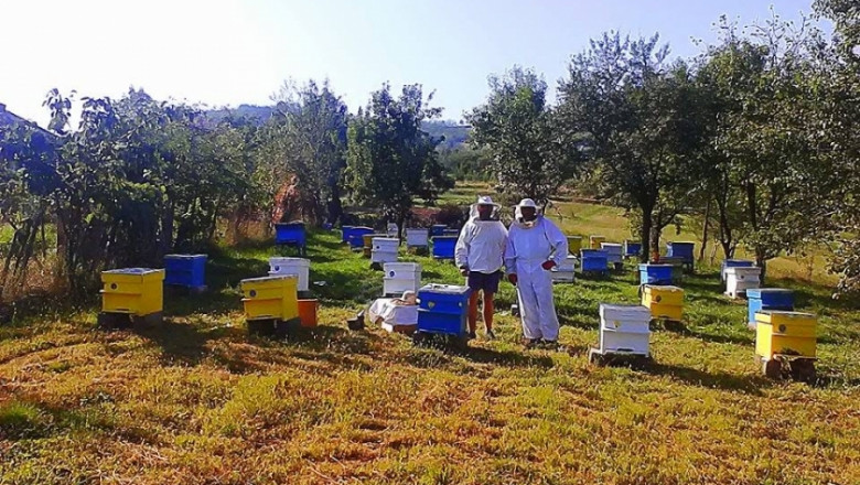 Владимир Каменов: Берковица ще стане пчеларската столица на Балканите! (ИНТЕРВЮ)