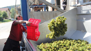 Одит на EK: Няма нарушения в Лозаро-винарската програма - Agri.bg