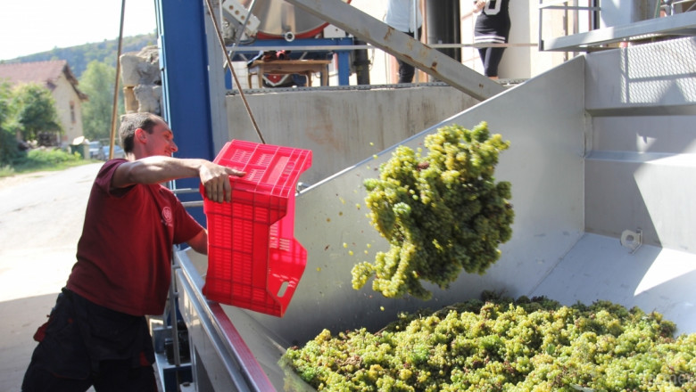 Одит на EK: Няма нарушения в Лозаро-винарската програма