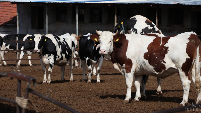 Съветът по животновъдство във Враца ще заседава във вторник