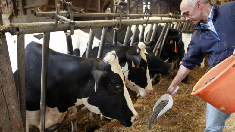 Субсидиите за крави, овце и кози вече са по сметките на фермерите