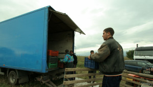 Близо 1000 фермери сключиха еднодневни трудови договори - Agri.bg