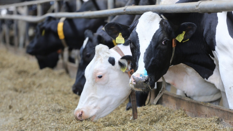 Германия иска да увеличи износа на мляко