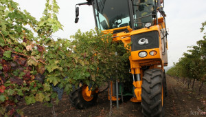 Въвеждат промени в Лозаро-винарската програма - Agri.bg