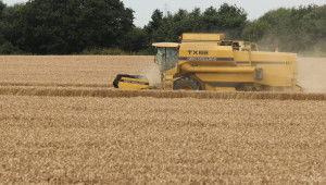 Реколтата от пшеница 2015 е малко над 4,6 млн. тона - Agri.bg