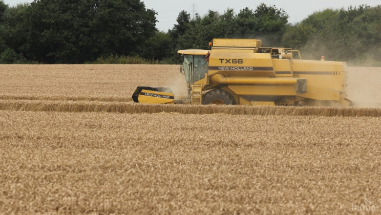 Реколтата от пшеница 2015 е малко над 4,6 млн. тона
