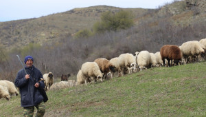 Увеличават глобите за фермери, несъобщили за болни животни  - Agri.bg