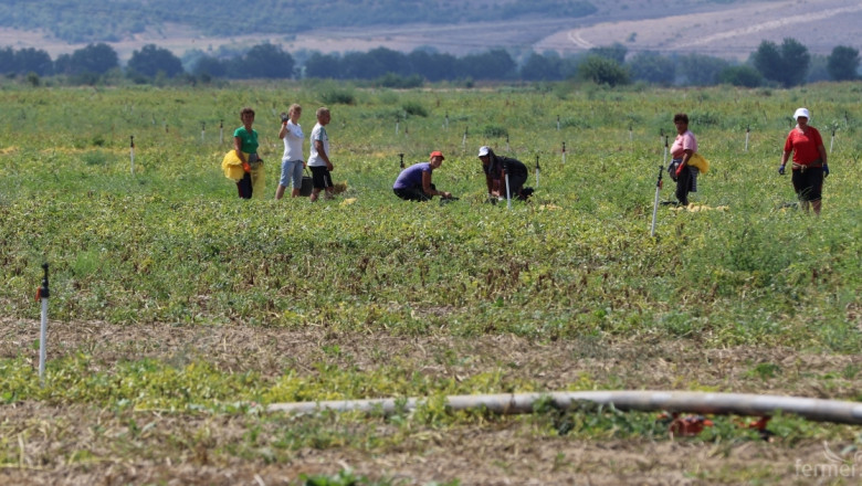 Инспекцията по труда продължава масовите проверки за договори в земеделието