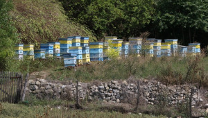 Осъдиха на затвор четирима заради кражба на пчелни кошери  - Agri.bg