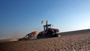 Започна сеитбата на пшеница в Добруджа