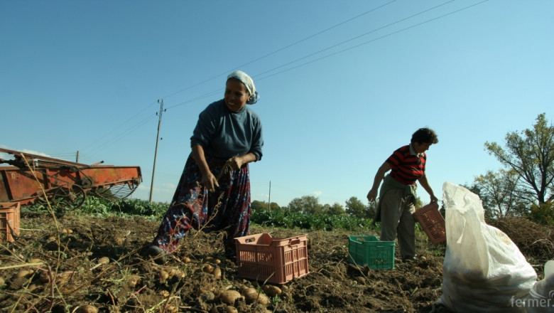 Фермерите, наемащи работници за ден, подават декларации в НАП