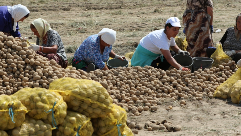 Вижте правата и задълженията на земеделци и работници при еднодневните договори 