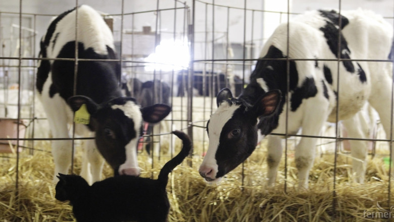 Десислава Танева: Предложихме пакет от 6 мерки за сектор Мляко (ВИДЕО)