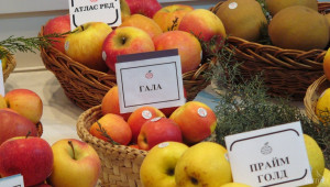 Празник на ябълката ще се проведе в русенското село Екзарх Йосиф - Agri.bg