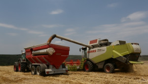 Пшеницата от реколта 2015 се продава на цена 310 лв/тон в Добричко (ВИДЕО) - Agri.bg