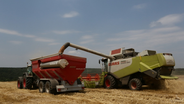 Пшеницата от реколта 2015 се продава на цена 310 лв/тон в Добричко (ВИДЕО)