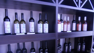 Българско вино и млечни продукти представиха на изложение в Словакия - Agri.bg